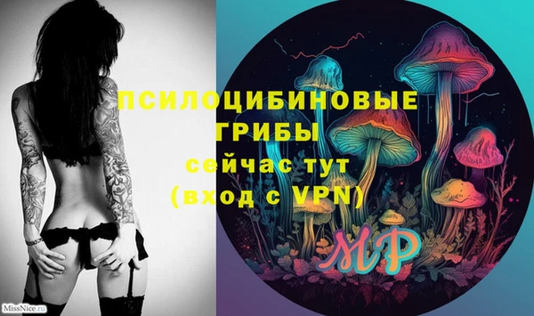 винт Вяземский