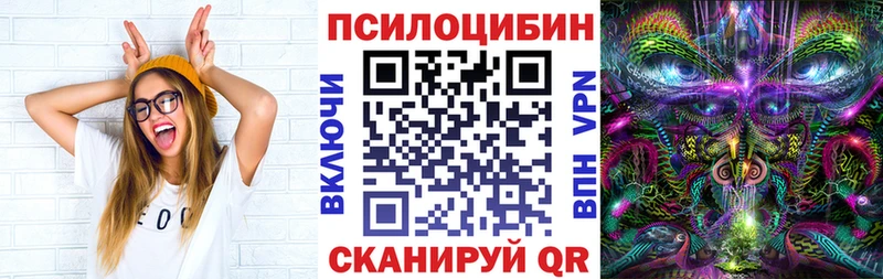 Псилоцибиновые грибы ЛСД  Купить где  Циолковский 